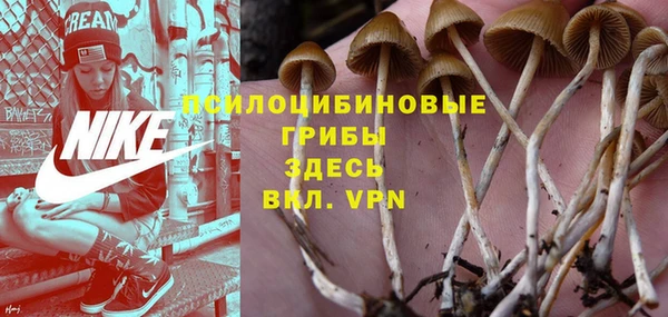кокаин перу Бородино